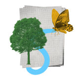 In a self-serve, do-it-yourself (DIY) process you will develop a lightweight, adaptable Theory of Change (ToC): a foundational document outlining a team’s impact hypothesis.